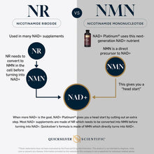 Load image into Gallery viewer, Age-Defying Metabolism Enhancer - Liposomal NAD+ Platinum (Quicksilver Scientific)