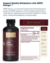 將圖像加載到圖庫查看器中，Premium Health Elixir - AMPK CHARGE+™ 100 ML (Quicksilver Scientific)
